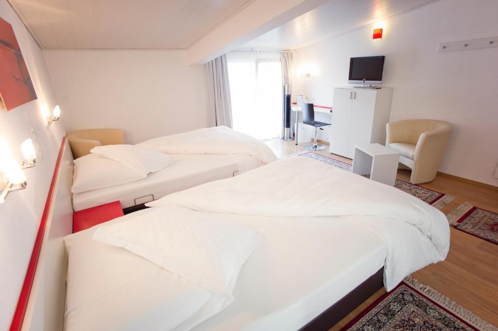 Hotel Hohberg "Next To Bbc Arena" Schaffhausen Phòng bức ảnh